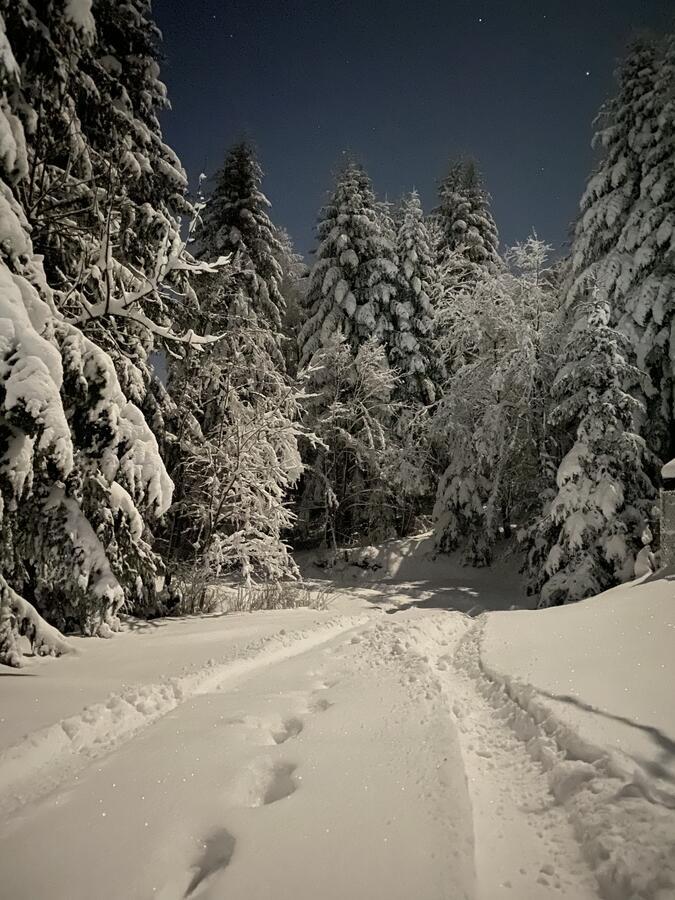 Mountain Cottage Lubomierz Lubomierz  ภายนอก รูปภาพ