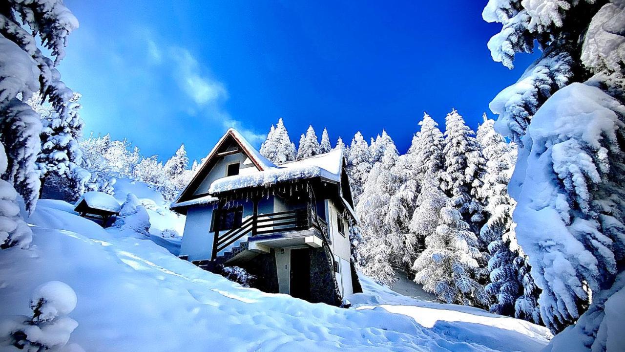 Mountain Cottage Lubomierz Lubomierz  ภายนอก รูปภาพ